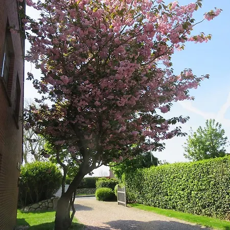 בית נופש Biberhues ארכסום